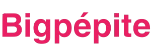 Bigpepite